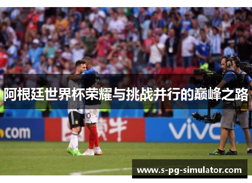 阿根廷世界杯荣耀与挑战并行的巅峰之路 阿根廷世界杯荣耀与挑战并行的巅峰之路