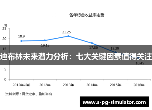 迪布林未来潜力分析：七大关键因素值得关注