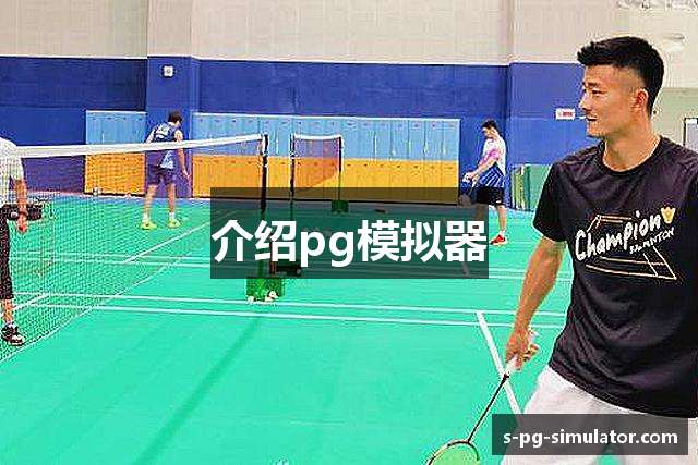 介绍pg模拟器